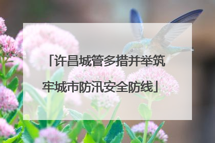 许昌城管多措并举筑牢城市防汛安全防线