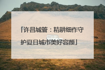 许昌城管：精耕细作守护夏日城市美好容颜