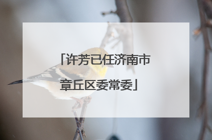 许芳已任济南市章丘区委常委
