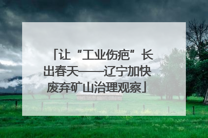 让“工业伤疤”长出春天——辽宁加快废弃矿山治理观察