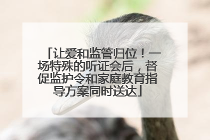 让爱和监管归位！一场特殊的听证会后，督促监护令和家庭教育指导方案同时送达
