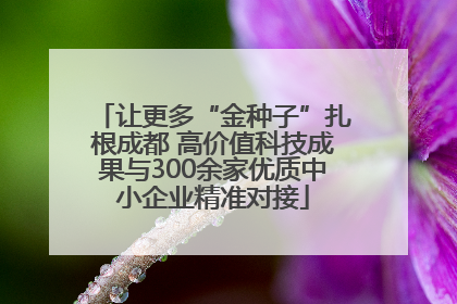 让更多“金种子”扎根成都 高价值科技成果与300余家优质中小企业精准对接