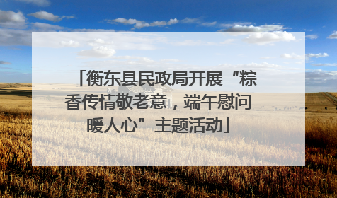 衡东县民政局开展“粽香传情敬老意，端午慰问暖人心”主题活动