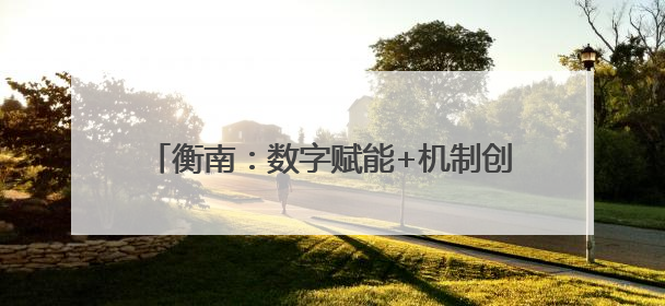 衡南：数字赋能+机制创新 打造营商环境新高地