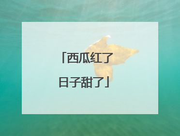 西瓜红了 日子甜了