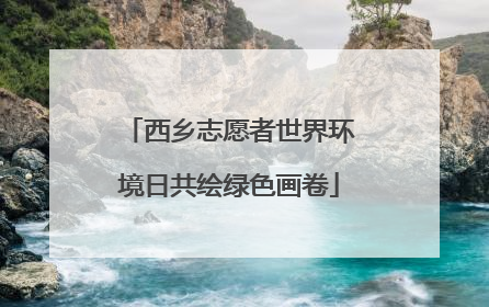 西乡志愿者世界环境日共绘绿色画卷