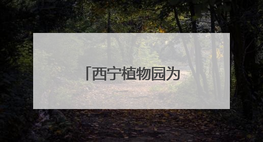 西宁植物园为雪豹“凌小蛰”庆祝“新生”