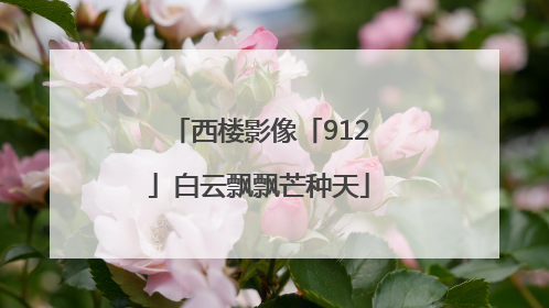 西楼影像「912」白云飘飘芒种天