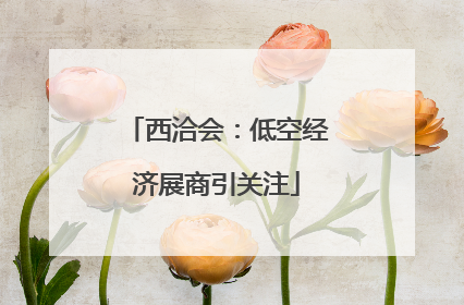 西洽会：低空经济展商引关注