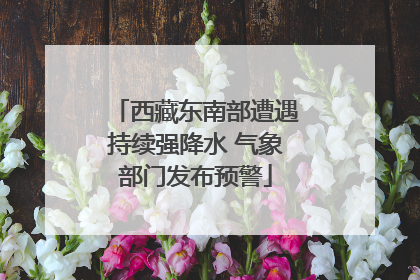 西藏东南部遭遇持续强降水 气象部门发布预警