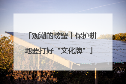 观潮的螃蟹丨保护耕地要打好“文化牌”