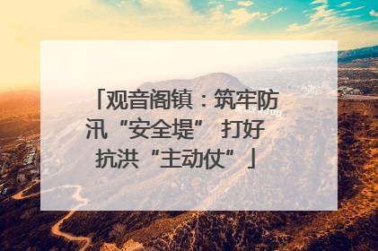 观音阁镇：筑牢防汛“安全堤” 打好抗洪“主动仗”