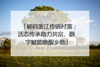 解码浙江传统村落：活态传承助力共富、数字赋能唤醒乡愁