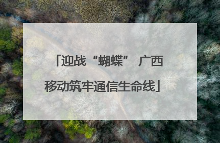 迎战“蝴蝶” 广西移动筑牢通信生命线