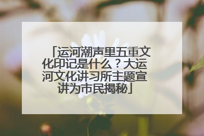 运河潮声里五重文化印记是什么？大运河文化讲习所主题宣讲为市民揭秘