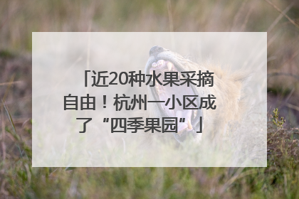 近20种水果采摘自由！杭州一小区成了“四季果园”