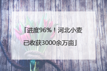 进度96%！河北小麦已收获3000余万亩