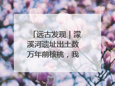 远古发现｜濛溪河遗址出土数万年前核桃，我国先民食用核桃历史大幅提前