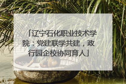 辽宁石化职业技术学院：党建联学共建，政行园企校协同育人