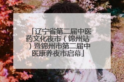 辽宁省第二届中医药文化夜市（锦州站）暨锦州市第二届中医康养夜市启幕