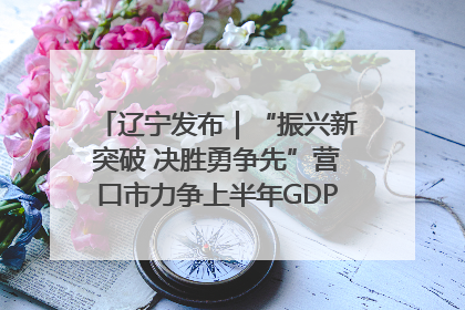 辽宁发布｜“振兴新突破 决胜勇争先”营口市力争上半年GDP增长6%左右