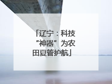 辽宁：科技“神器”为农田夏管护航