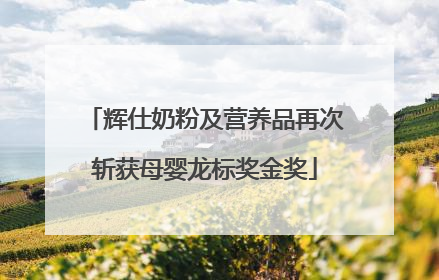 辉仕奶粉及营养品再次斩获母婴龙标奖金奖