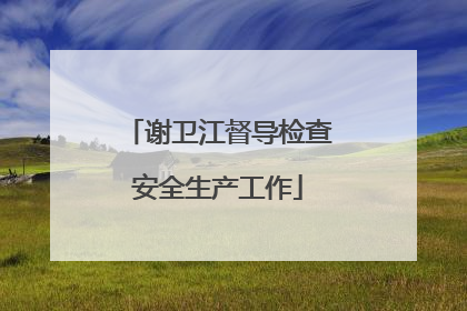 谢卫江督导检查安全生产工作
