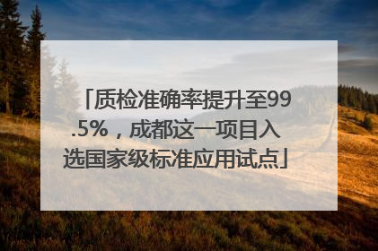 质检准确率提升至99.5%，成都这一项目入选国家级标准应用试点