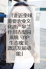 走近全球重要农业文化遗产皋兰什川古梨园系统 守护生态瑰宝 激活发展动能