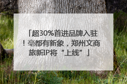 超30%首进品牌入驻！亳都有新象，郑州文商旅新IP将“上线”