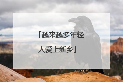越来越多年轻人爱上新乡