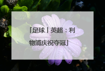 足球丨英超：利物浦庆祝夺冠