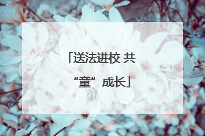 送法进校 共“童”成长