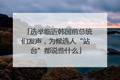 选举临近韩国前总统们发声，为候选人“站台”都说些什么
