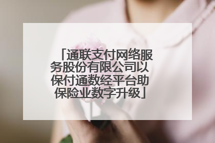 通联支付网络服务股份有限公司以保付通数经平台助保险业数字升级