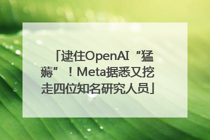 逮住OpenAI“猛薅”！Meta据悉又挖走四位知名研究人员