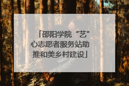 邵阳学院“艺”心志愿者服务站助推和美乡村建设