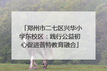 郑州市二七区兴华小学东校区：践行公益初心促进普特教育融合