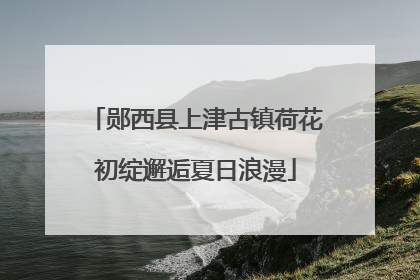 郧西县上津古镇荷花初绽邂逅夏日浪漫