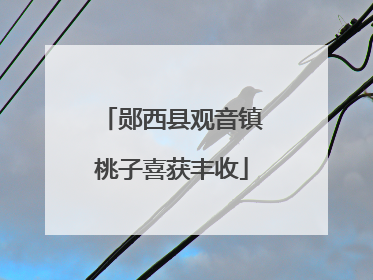 郧西县观音镇桃子喜获丰收