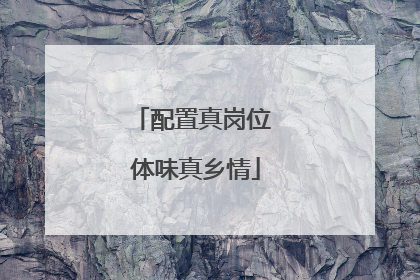 配置真岗位 体味真乡情