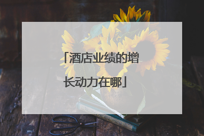 酒店业绩的增长动力在哪