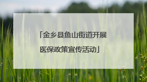 金乡县鱼山街道开展医保政策宣传活动