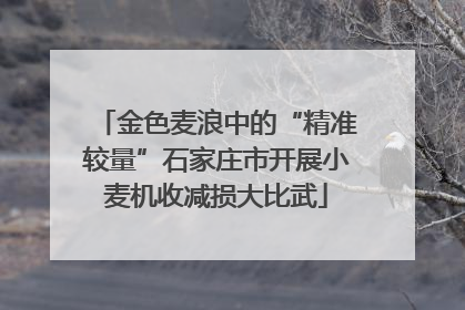 金色麦浪中的“精准较量”石家庄市开展小麦机收减损大比武