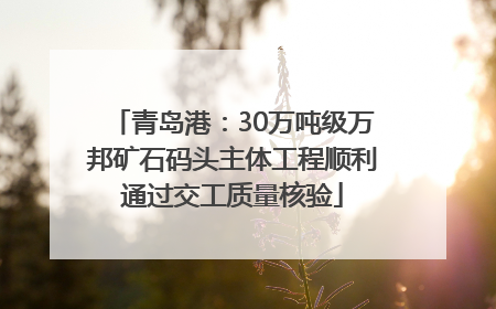 青岛港：30万吨级万邦矿石码头主体工程顺利通过交工质量核验