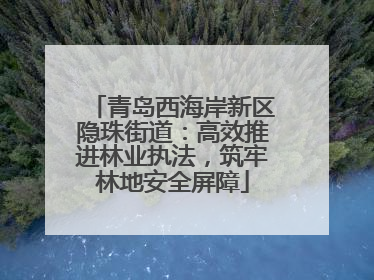 青岛西海岸新区隐珠街道：高效推进林业执法，筑牢林地安全屏障