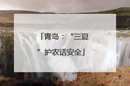 青岛：“三夏”护农话安全