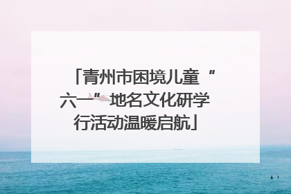 青州市困境儿童“六一”地名文化研学行活动温暖启航