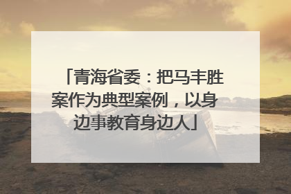 青海省委：把马丰胜案作为典型案例，以身边事教育身边人